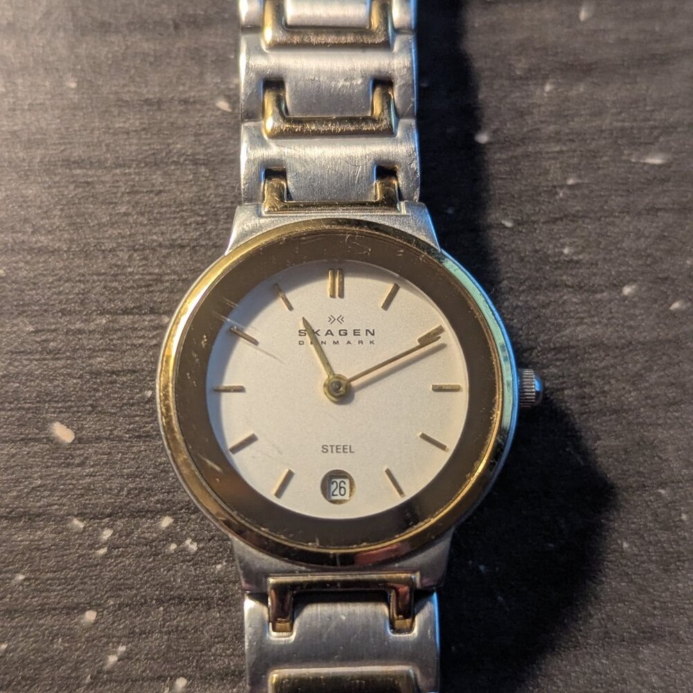 Skagen Denmark 246SGX Ladies Wristwatch
